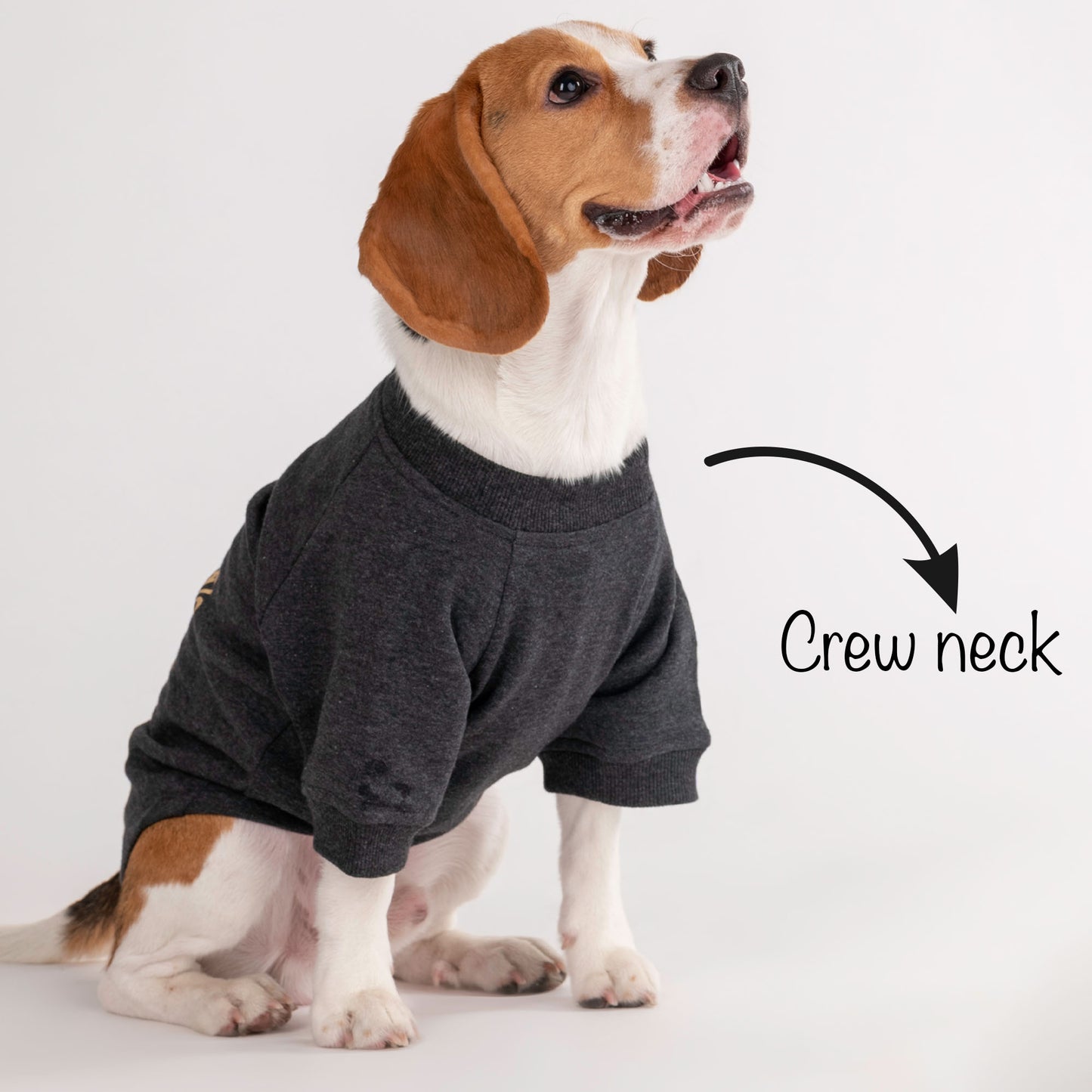 HUFT 24x7 Snuggle Duty Foil Print Pet Sweatshirt - Grey Melange - Heads Up For Tails