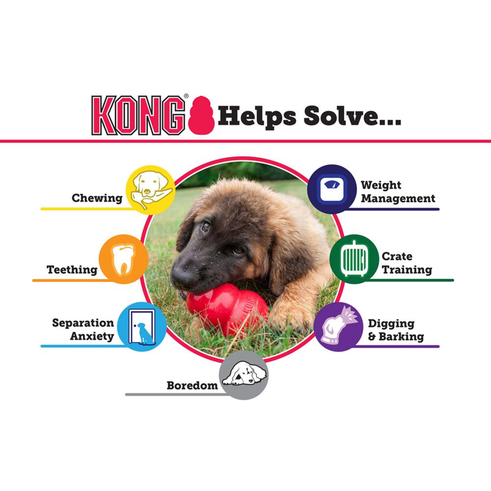 KONG Classic Chew Interactive Dog Toy (In multiple sizes) - Heads Up For Tails