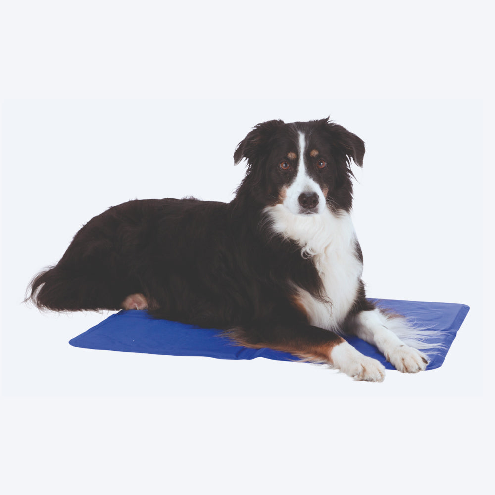 Trixie Cooling Mat For Dogs - Blue - Heads Up For Tails