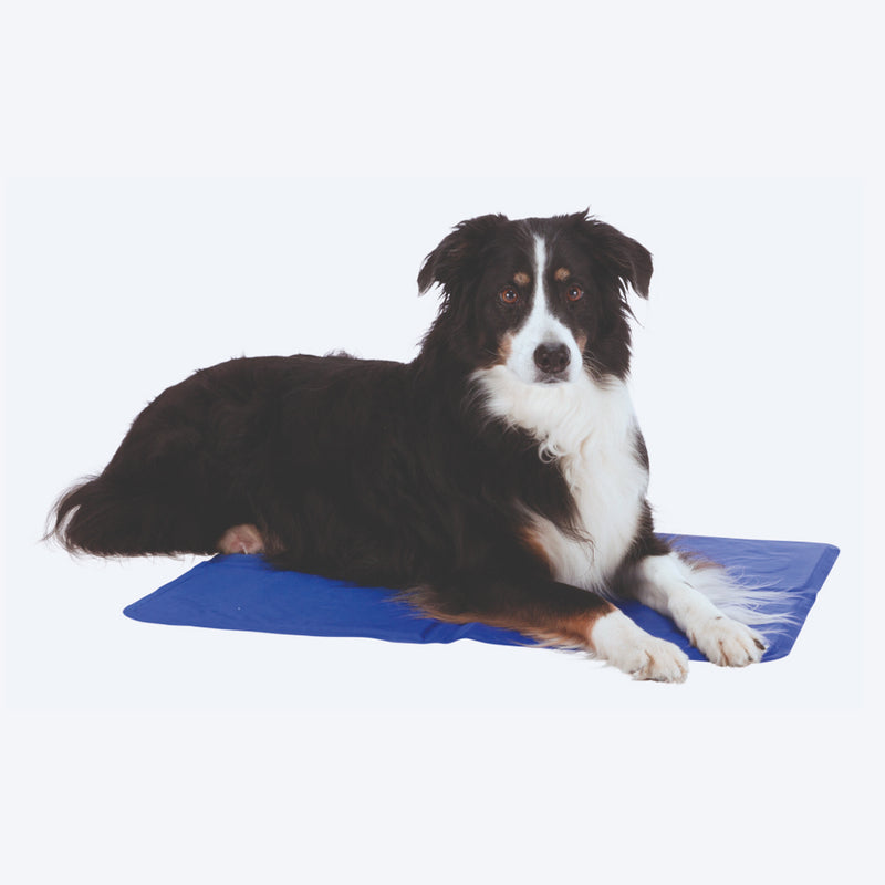 Trixie Cooling Mat For Dogs - Blue - Heads Up For Tails
