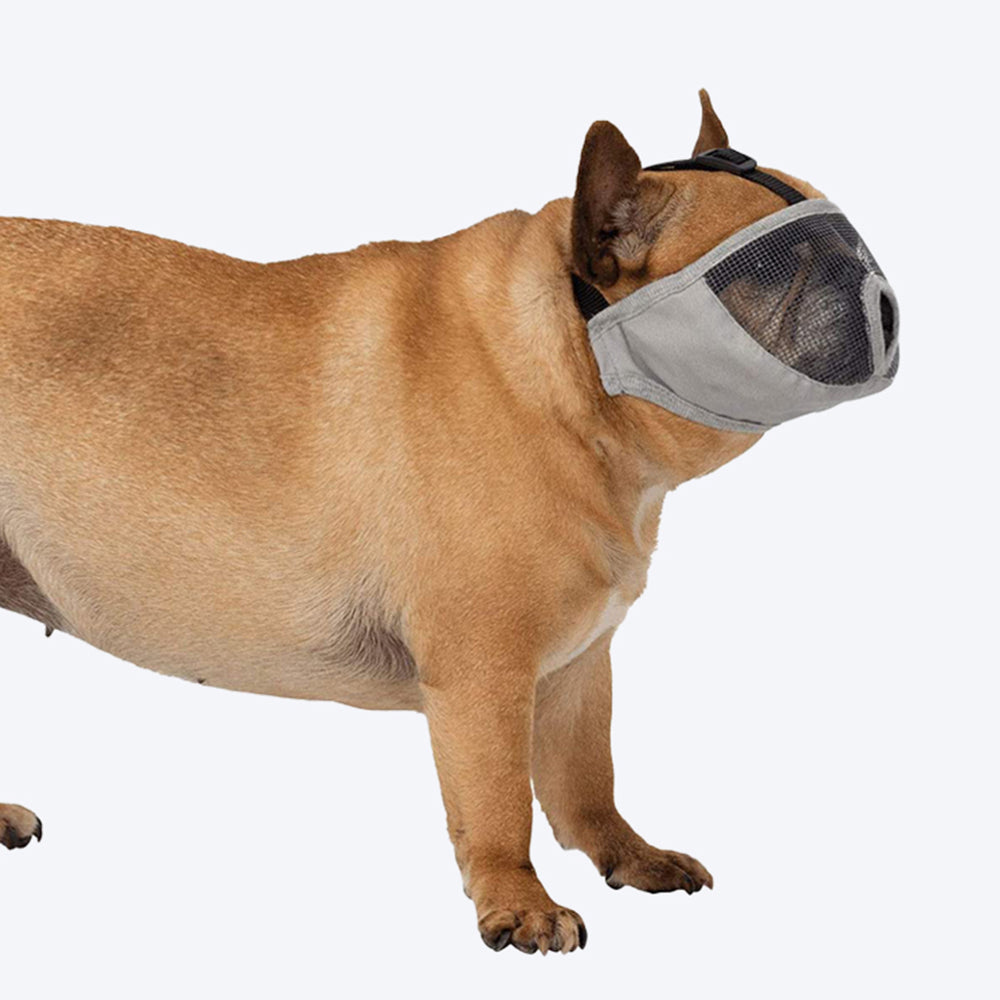 Trixie Polyester Muzzle for Short-Nosed Breeds - Small - 20cm Grey - Heads Up For Tails