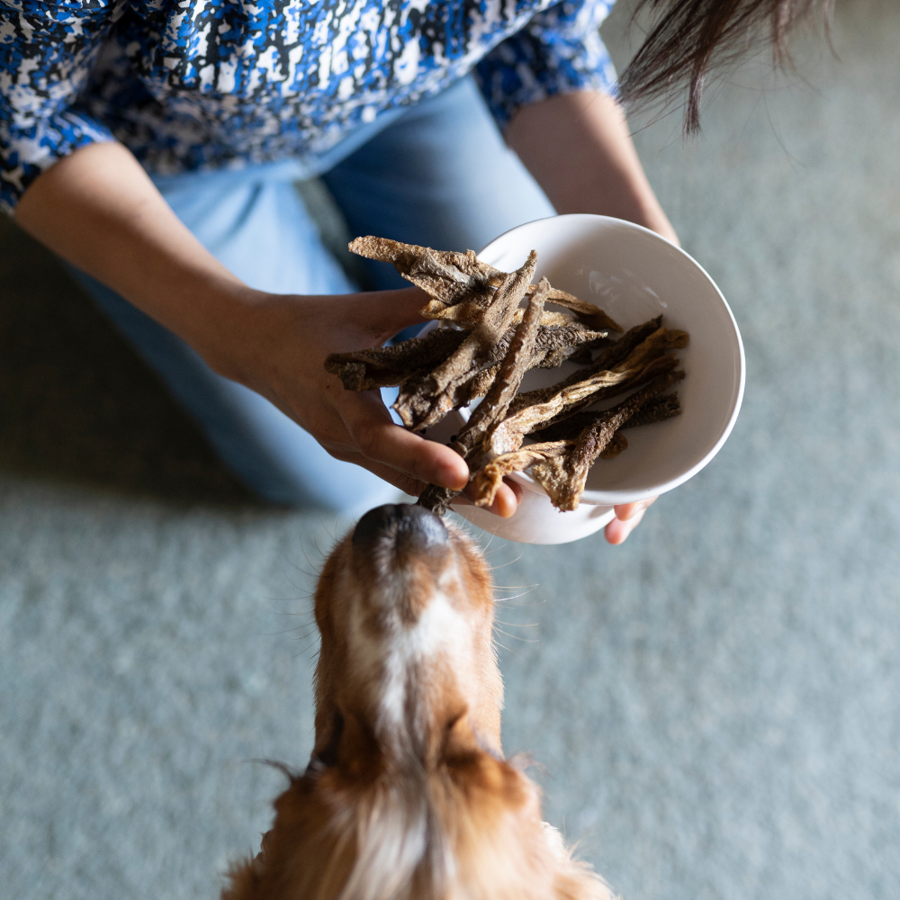 Canine Craving Dehydrated Grass-Fed Lamb Tripe Chew - 100 g
