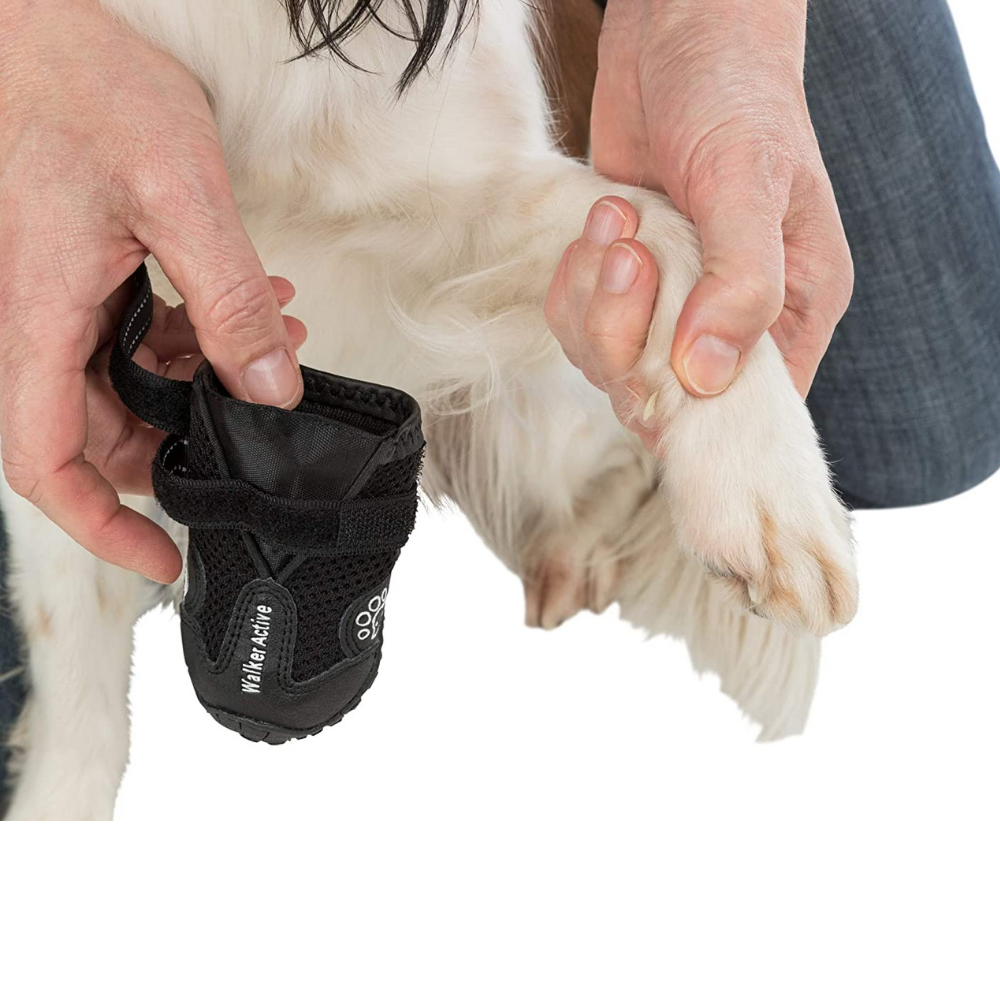 Trixie Walker Active Protective Boots For Dogs - Black - ( 2 Boots Covers 2 Paws Only)4