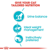 Royal Canin Urinary Care Wet Cat Food - 85 g packs - Heads Up For Tails