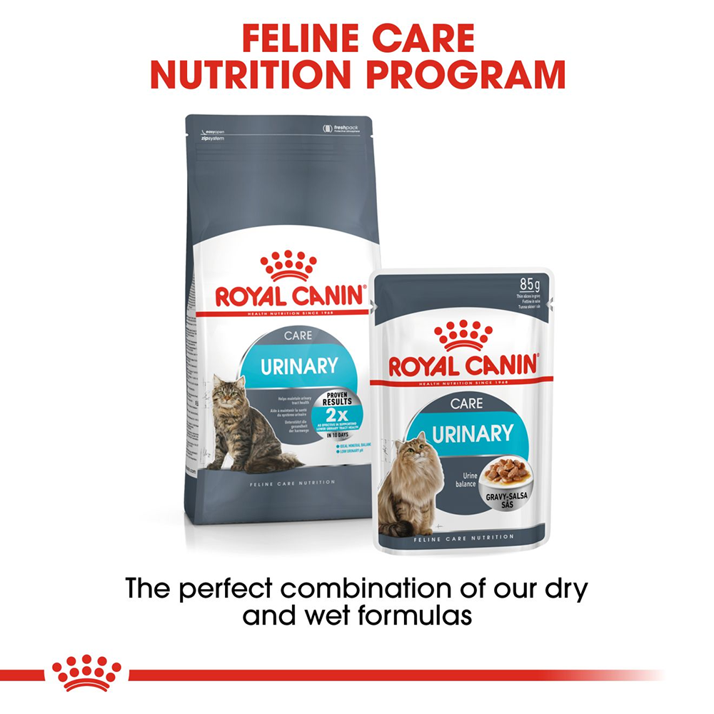 Royal Canin Urinary Care Wet Cat Food - 85 g packs - Heads Up For Tails