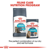 Royal Canin Urinary Care Wet Cat Food - 85 g packs - Heads Up For Tails