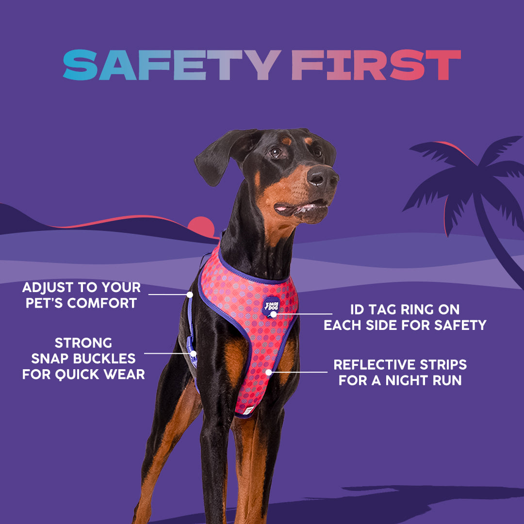 Dash Dog Circle Double Harness - Violet & Red - Heads Up For Tails