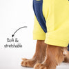 HUFT Colour Block Pocket Pet Sweatshirt - Neon Lime and Navy - Heads Up For Tails
