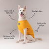 HUFT Desi Dawg T-shirt - Heads Up For Tails