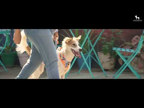 HUFT Walk With Me Colour Chaser Collection Video