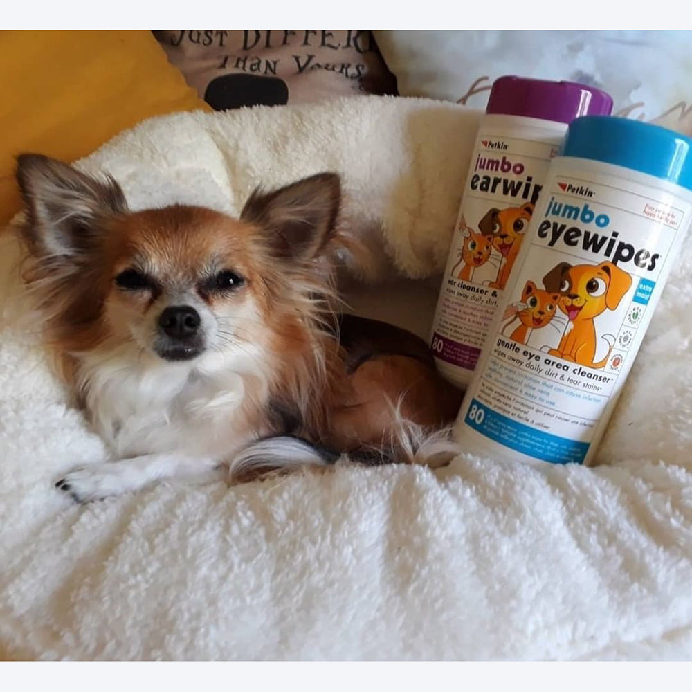 Petkin Jumbo Earwipes for Dogs and Cats - 80 wipes - Heads Up For Tails