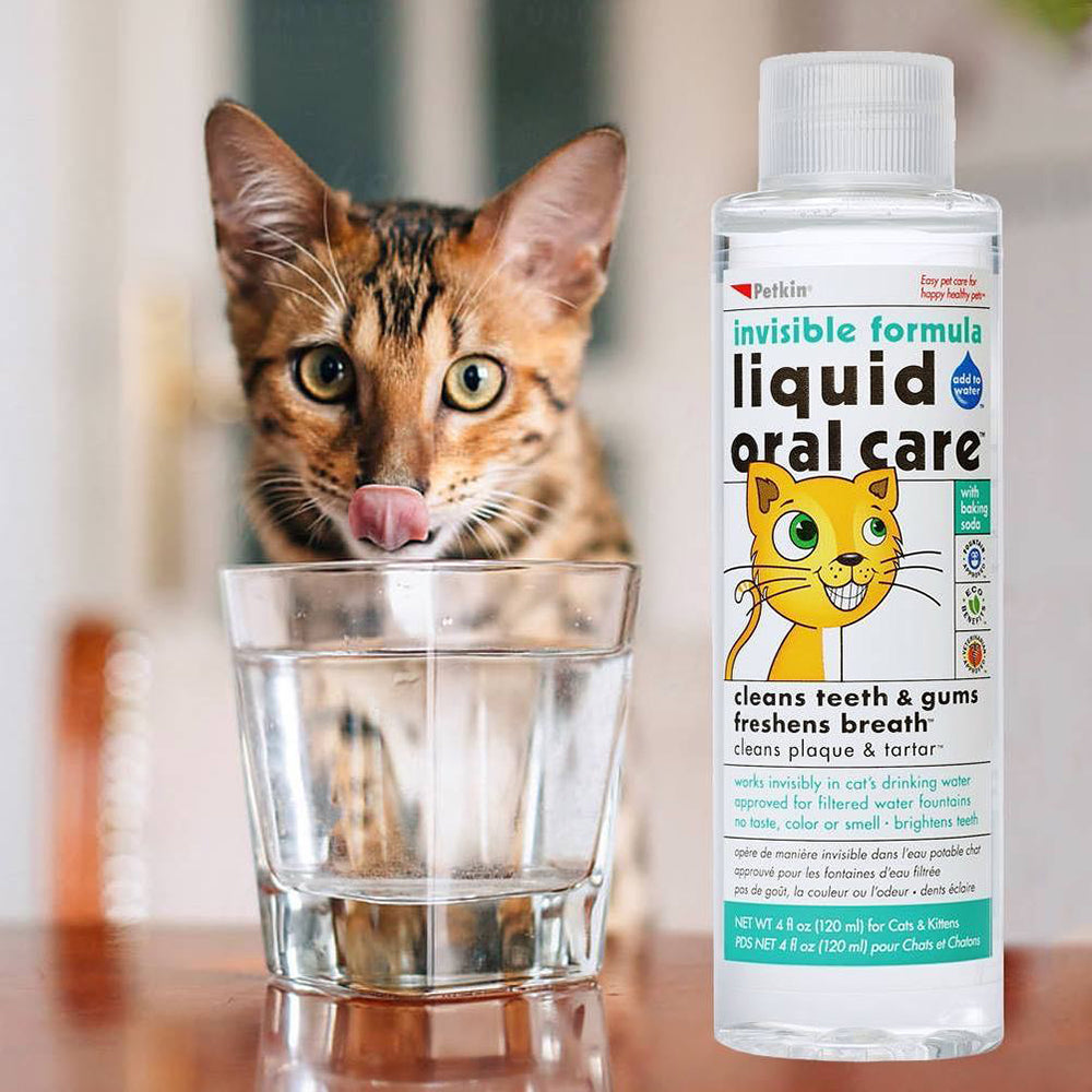 Petkin Liquid Oral Care - Dental Care Solution for Dogs and Cats - 240 ml - Heads Up For Tails