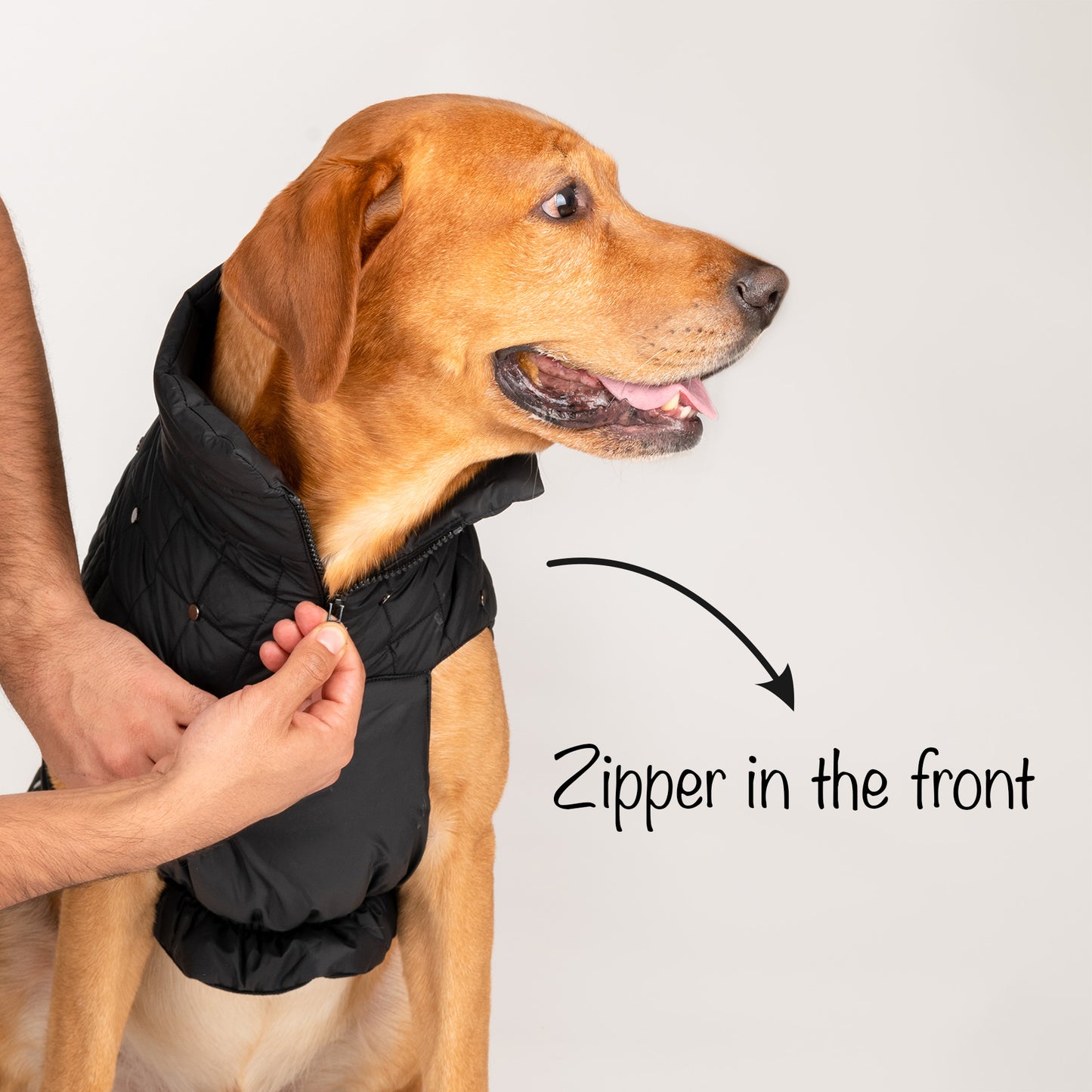 HUFT Luxe Stud Quilted Jacket For Dogs - Black - Heads Up For Tails