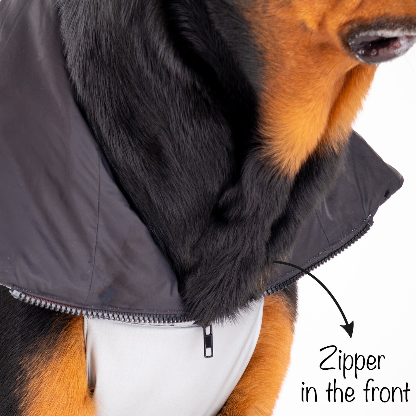HUFT Luxe Stud Quilted Jacket For Dogs - Mat Silver - Heads Up For Tails