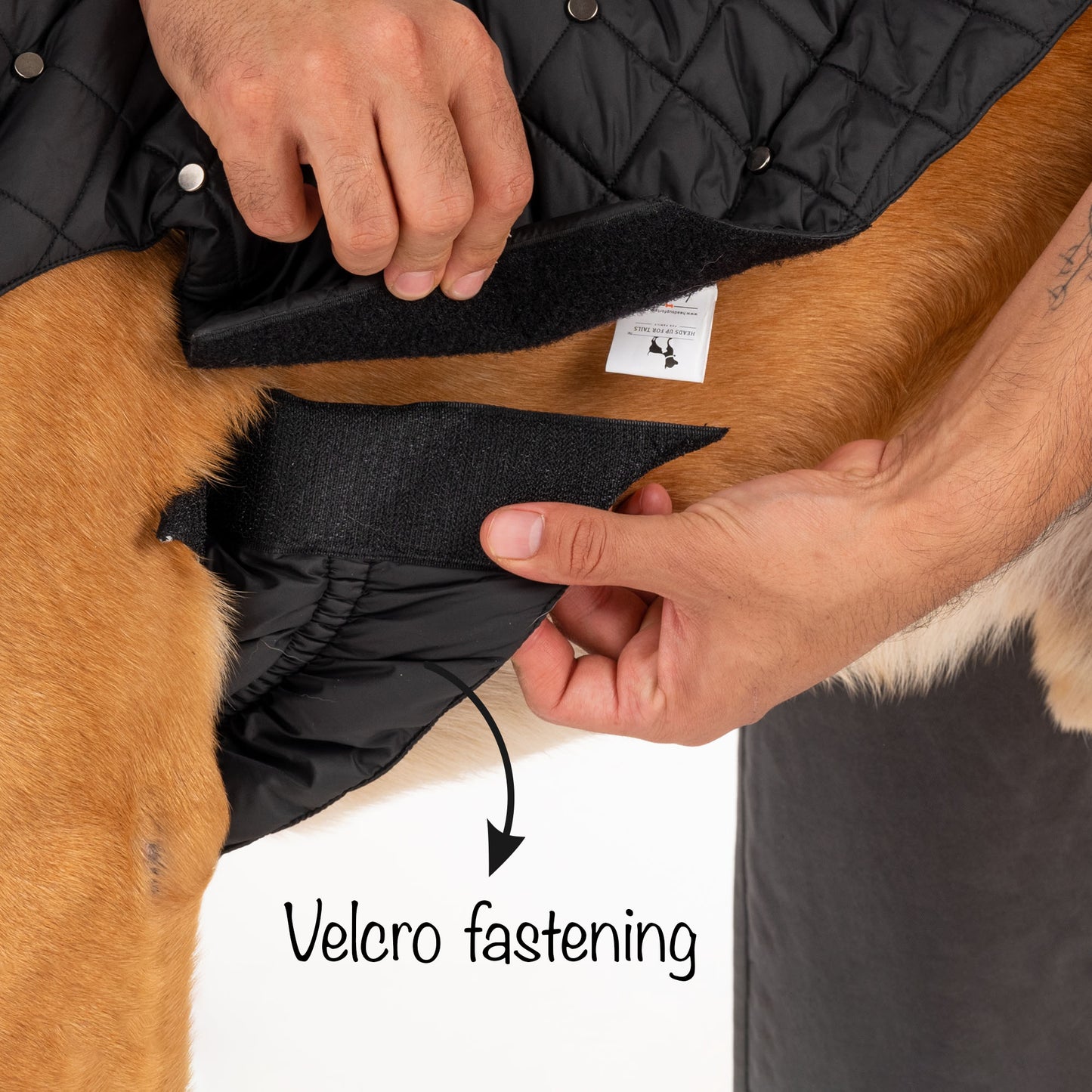 HUFT Luxe Stud Quilted Jacket For Dogs - Black - Heads Up For Tails