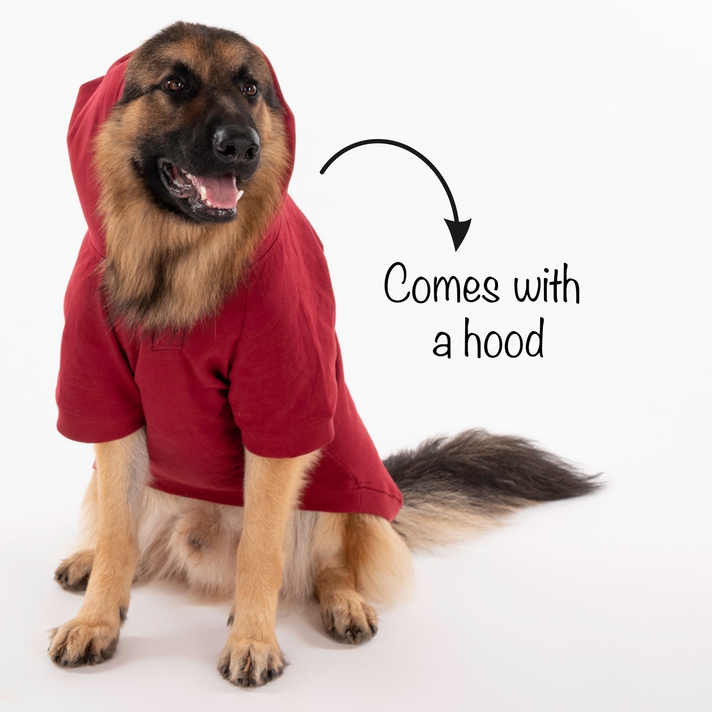 HUFT Sweatshirt for Dogs - Maroon - Heads Up For Tails