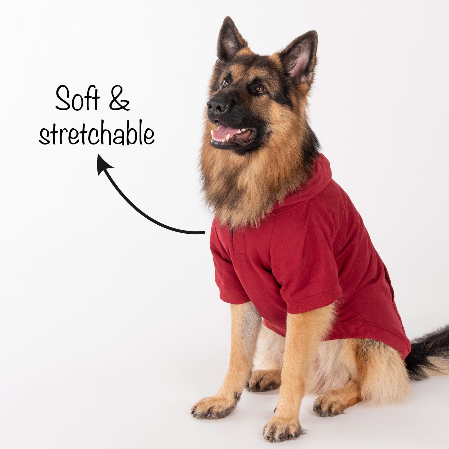 HUFT Sweatshirt for Dogs - Maroon - Heads Up For Tails