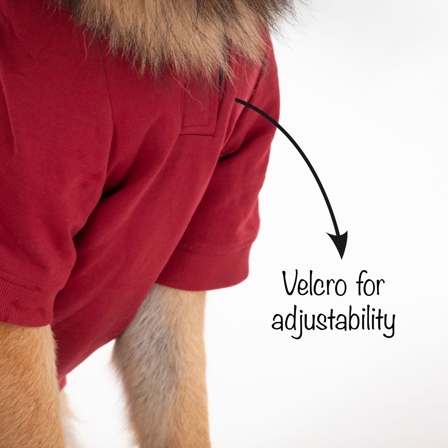 HUFT Sweatshirt for Dogs - Maroon - Heads Up For Tails