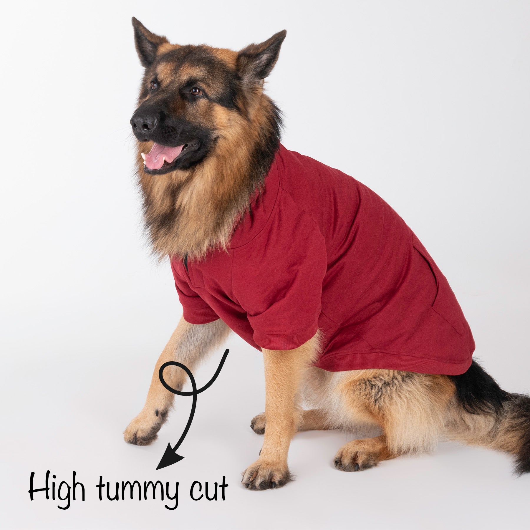 HUFT Sweatshirt for Dogs - Maroon - Heads Up For Tails