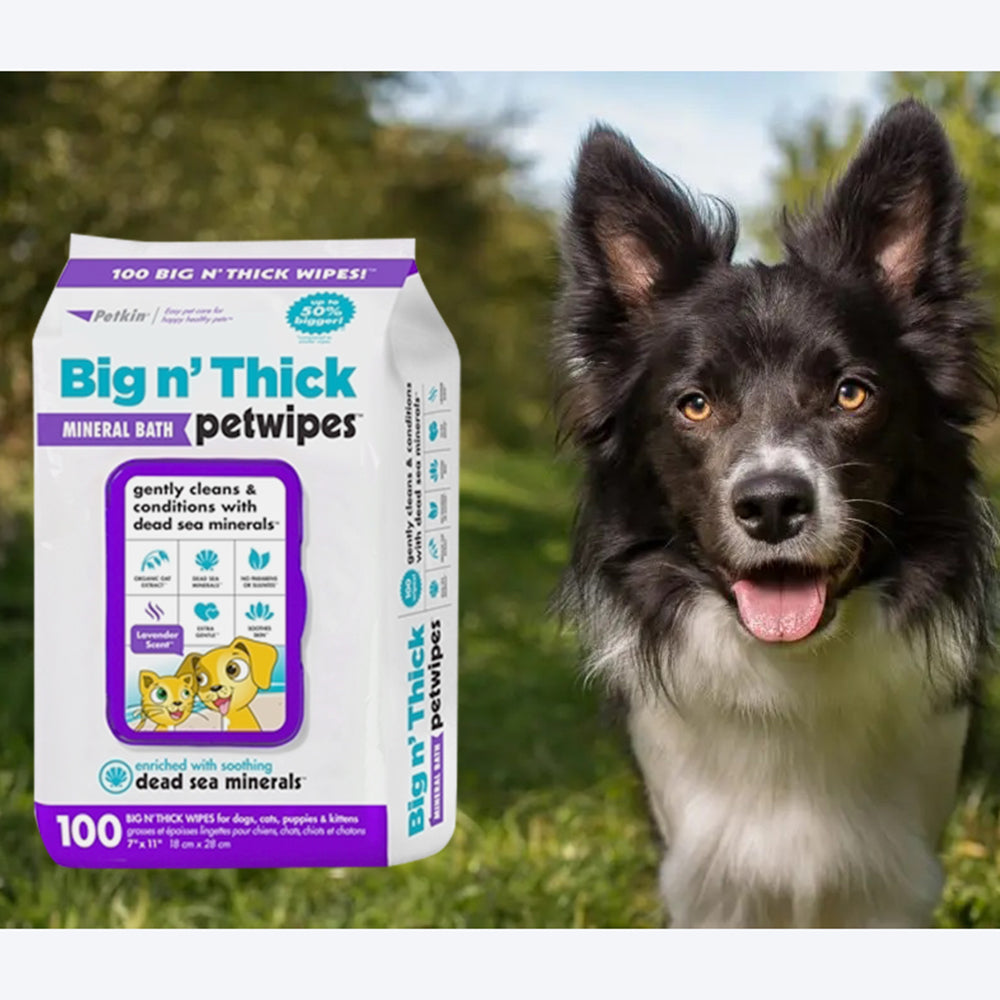 Petkin Big n' Thick Mineral Bath Pet Wipes For Dogs & Cats - 100 Wipes - Heads Up For Tails