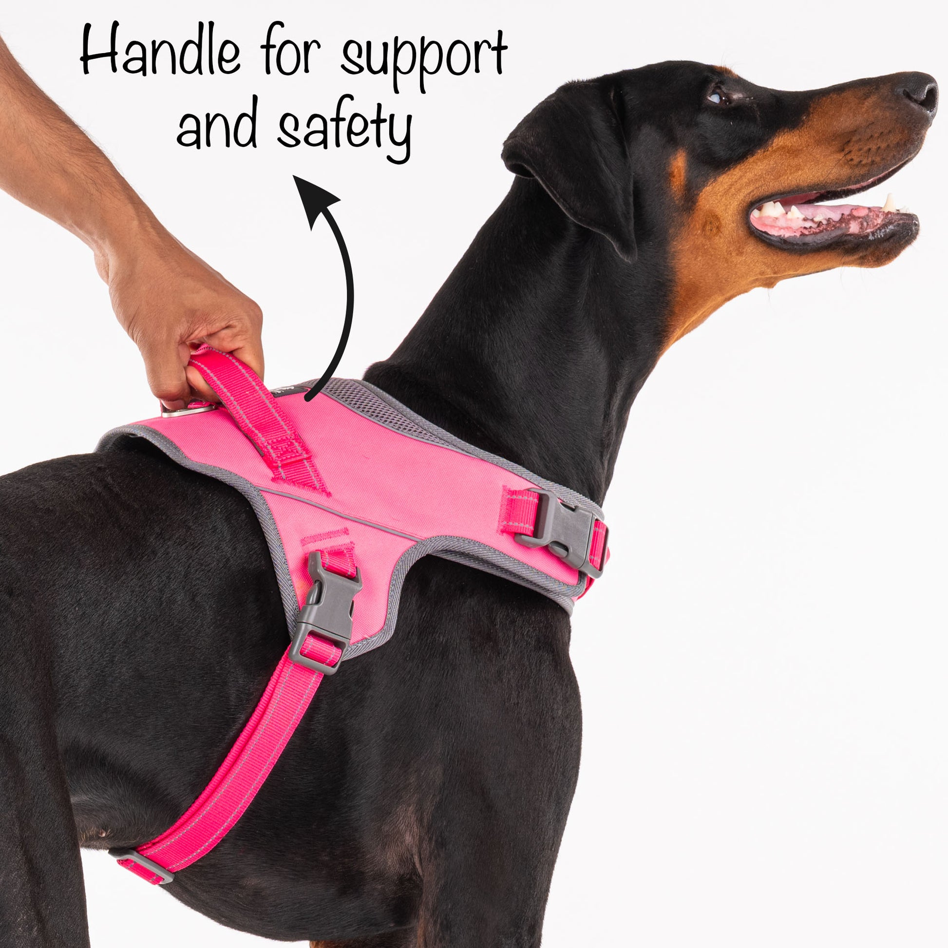 HUFT Easy On Dog Harness - Pink - Heads Up For Tails