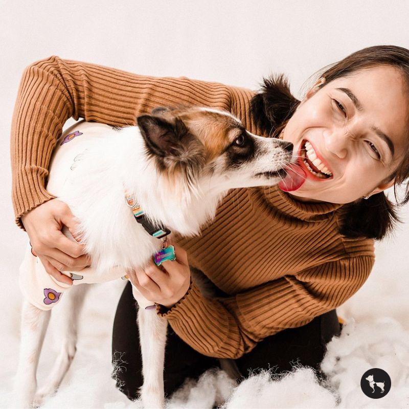 15 Most Loyal Dog Breeds in India