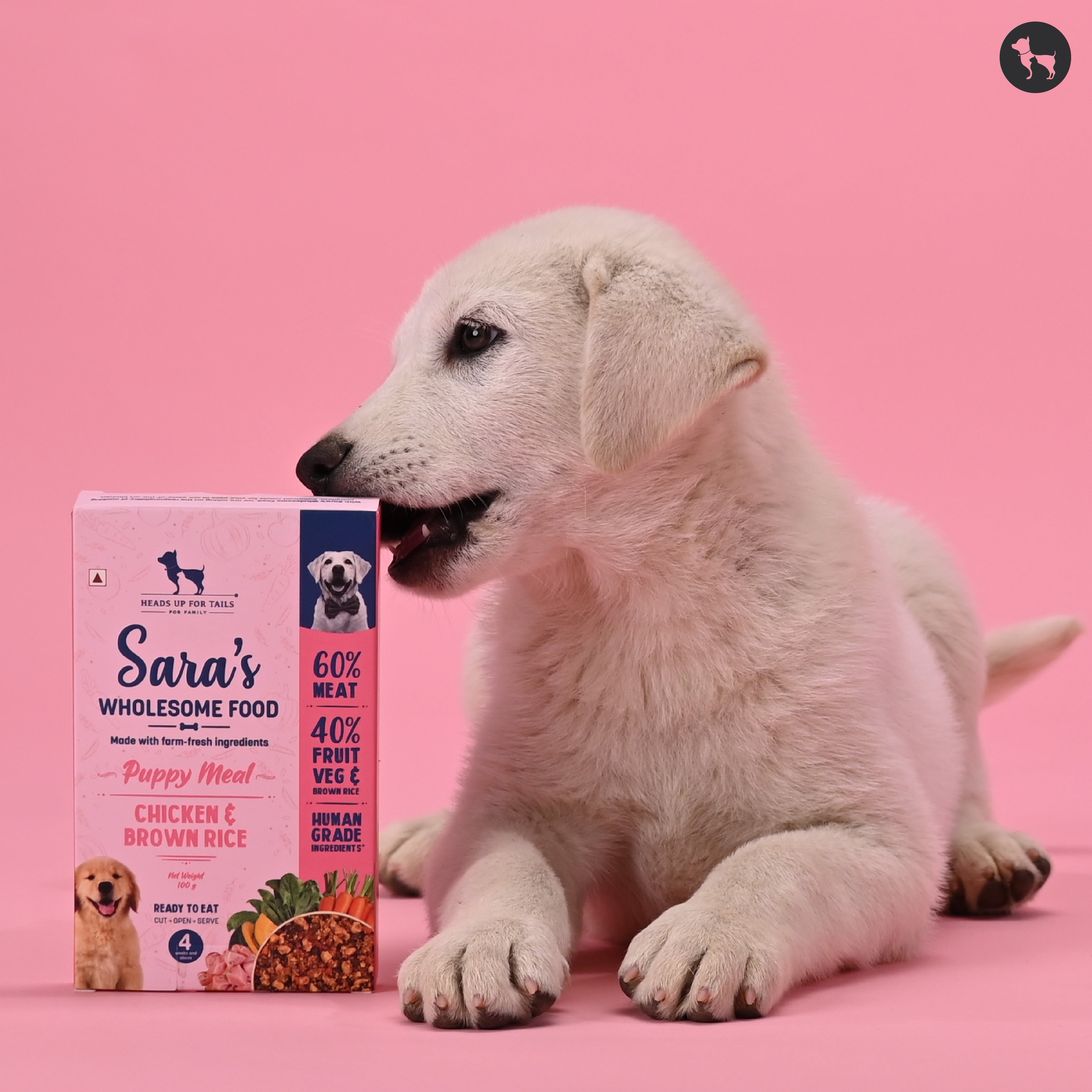 9 Reasons to Switch to Sara’s Wholesome Food Puppy Meal