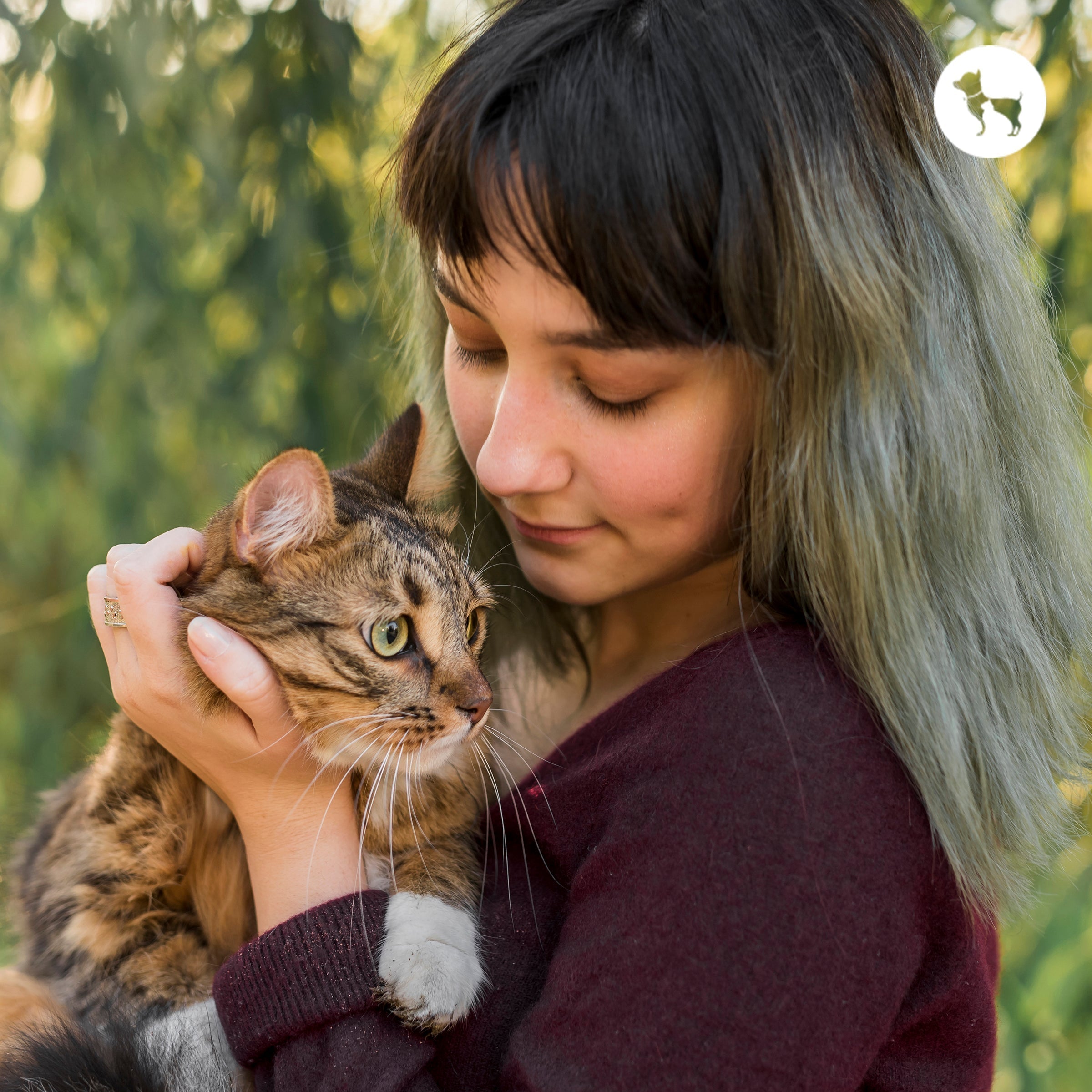 Are You Ready for a Cat