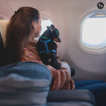 Best Pet-Friendly Airlines in India for Stress-Free Travel