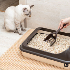 Do Cats Have Object Permanence: Surprising Facts Revealed