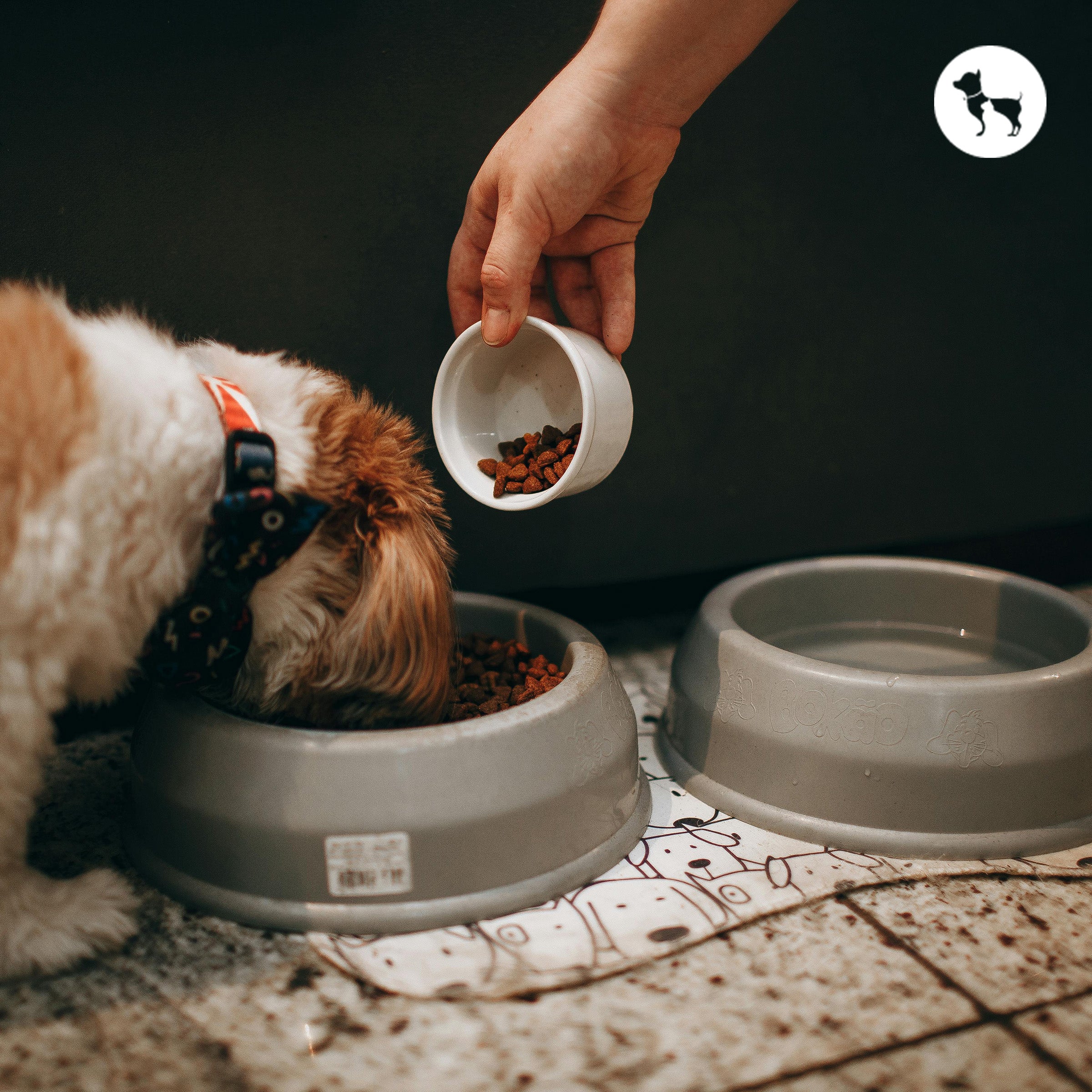 Which is Better for the Indian Climate? Which is Better for the Indian Climate?