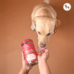 Everyday Healthy Snacking: The Role of Hearty Dog Biscuits in Training & Rewards