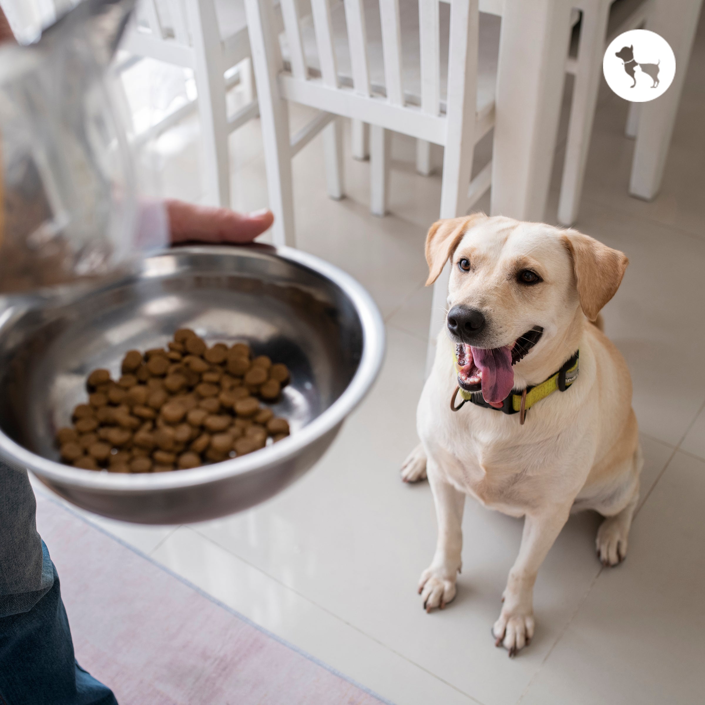 Top Brands Vets Actually Recommend Top Brands Vets Actually Recommend