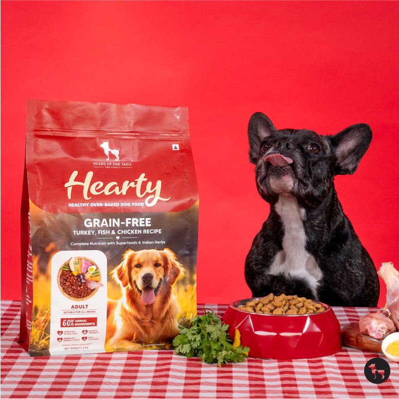 What is Grain-Free Dog Food and Does Your Dog Need It?