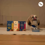 How to Choose the Best Meal for Your Dog: A Guide to Sara’s Food Range