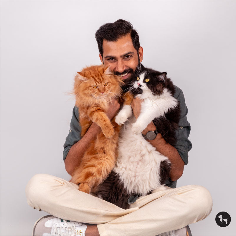 How to Use Treats to Train, Bond, and Support Your Cat's Health