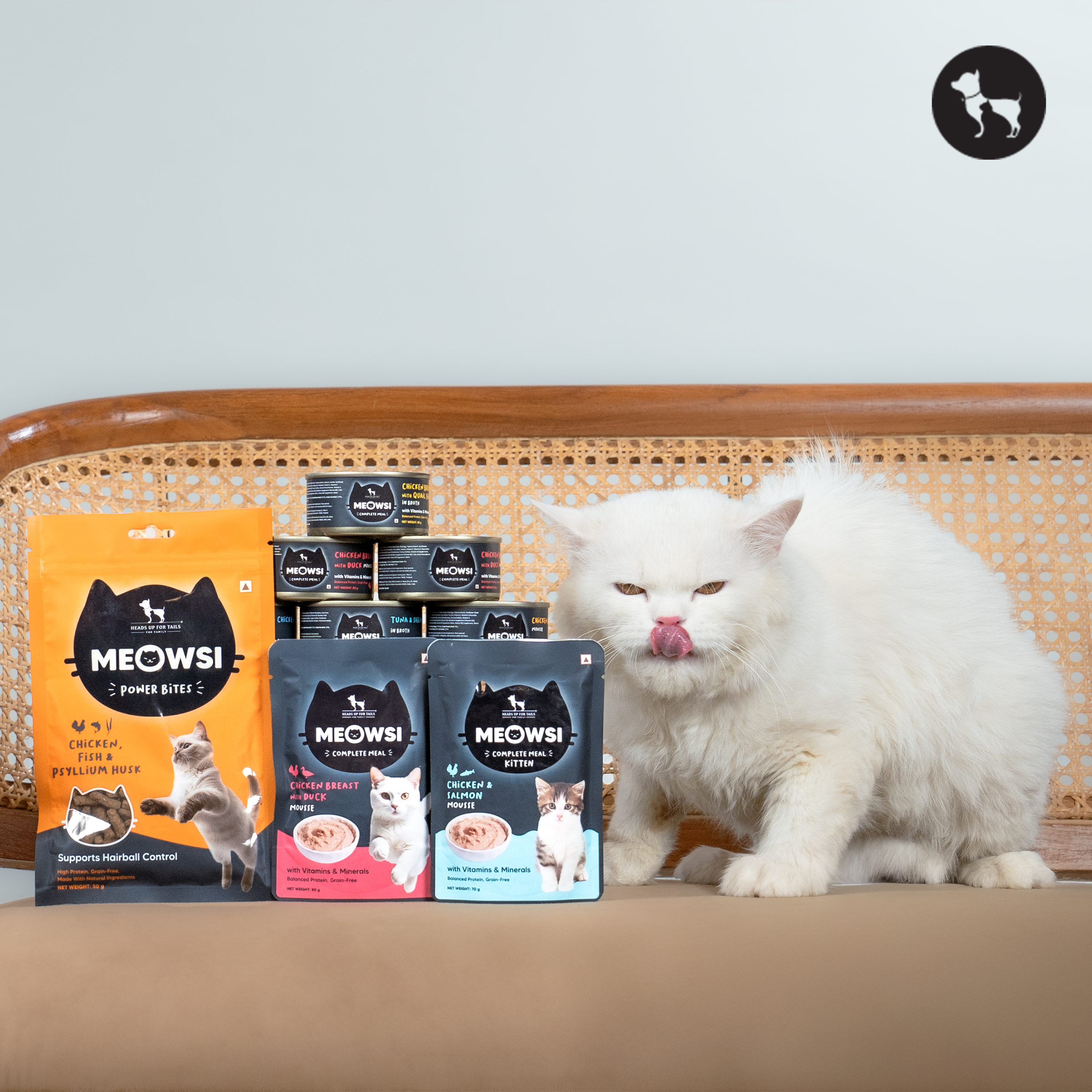 Essential Ingredients Your Cat Needs | Meowsi Nutrient-Rich Recipes