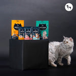 Meowsi: A Cat-First Nutrition Philosophy Every Cat Parent Should Know