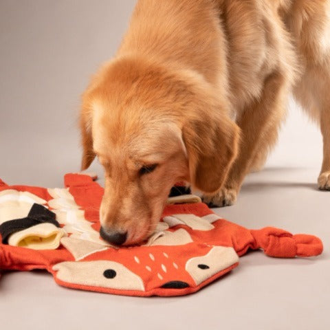 dog puzzle snuffle mat