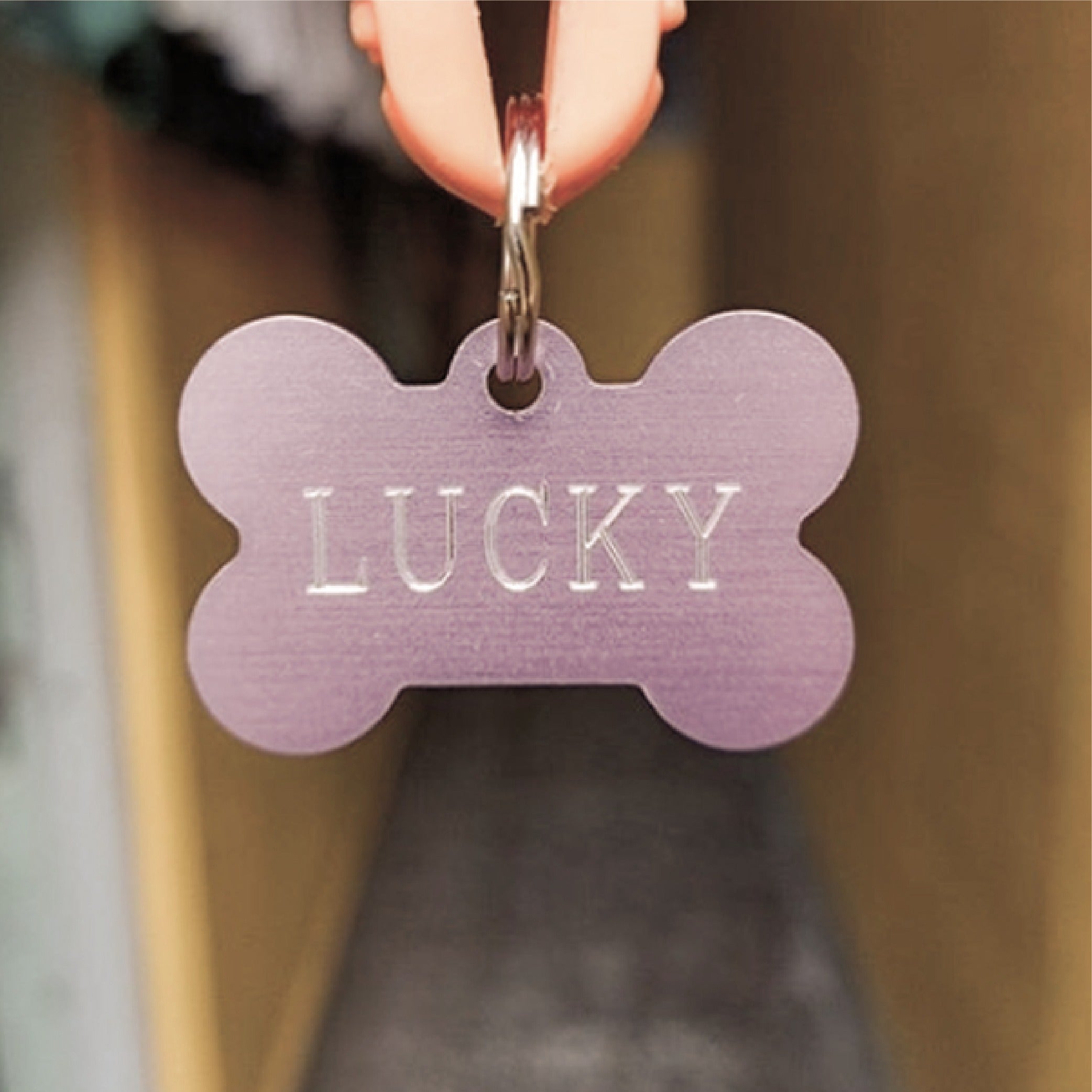 lucky dog tag