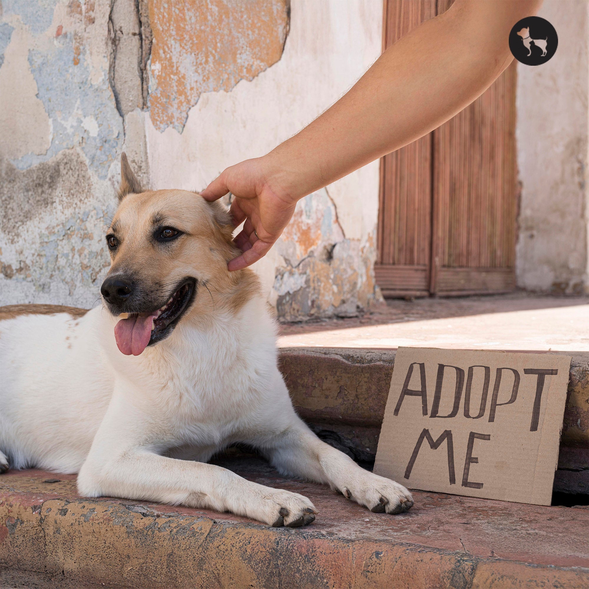 Pet Adoption in India
