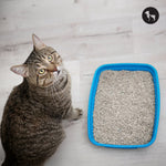 Best Space-Saving Cat Litter Boxes for Small Apartments