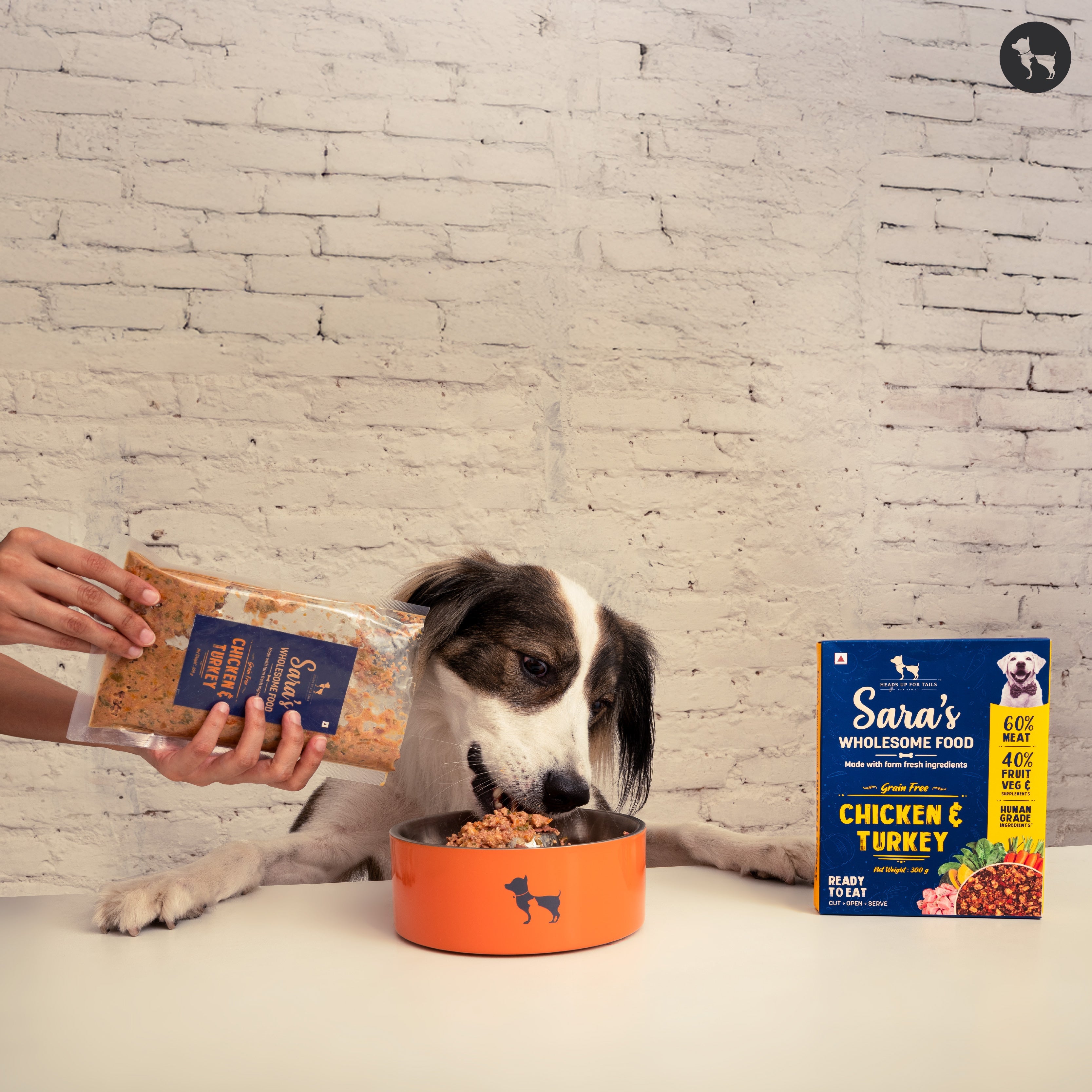 The Convenience of Ready-to-Eat Dog Food: How Sara’s Wholesome Fresh Dog Food Offers Nutrition and Ease