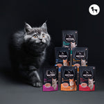 Top 5 Cat Food Mistakes Most Indian Cat Parents Make (And How Meowsi Solves Them)