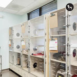 What to Look for When Choosing a Cat Boarding Facility: 10 Must-Ask Questions