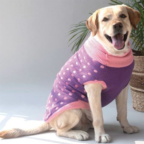We supply a wide variety of high-quality and stylish pet products. —  petlucks