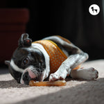 Best Chew Bones for Dogs to Support Healthy Teeth and Gums