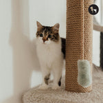 Best Easy-to-Clean Cat Scratchers for Everyday Use