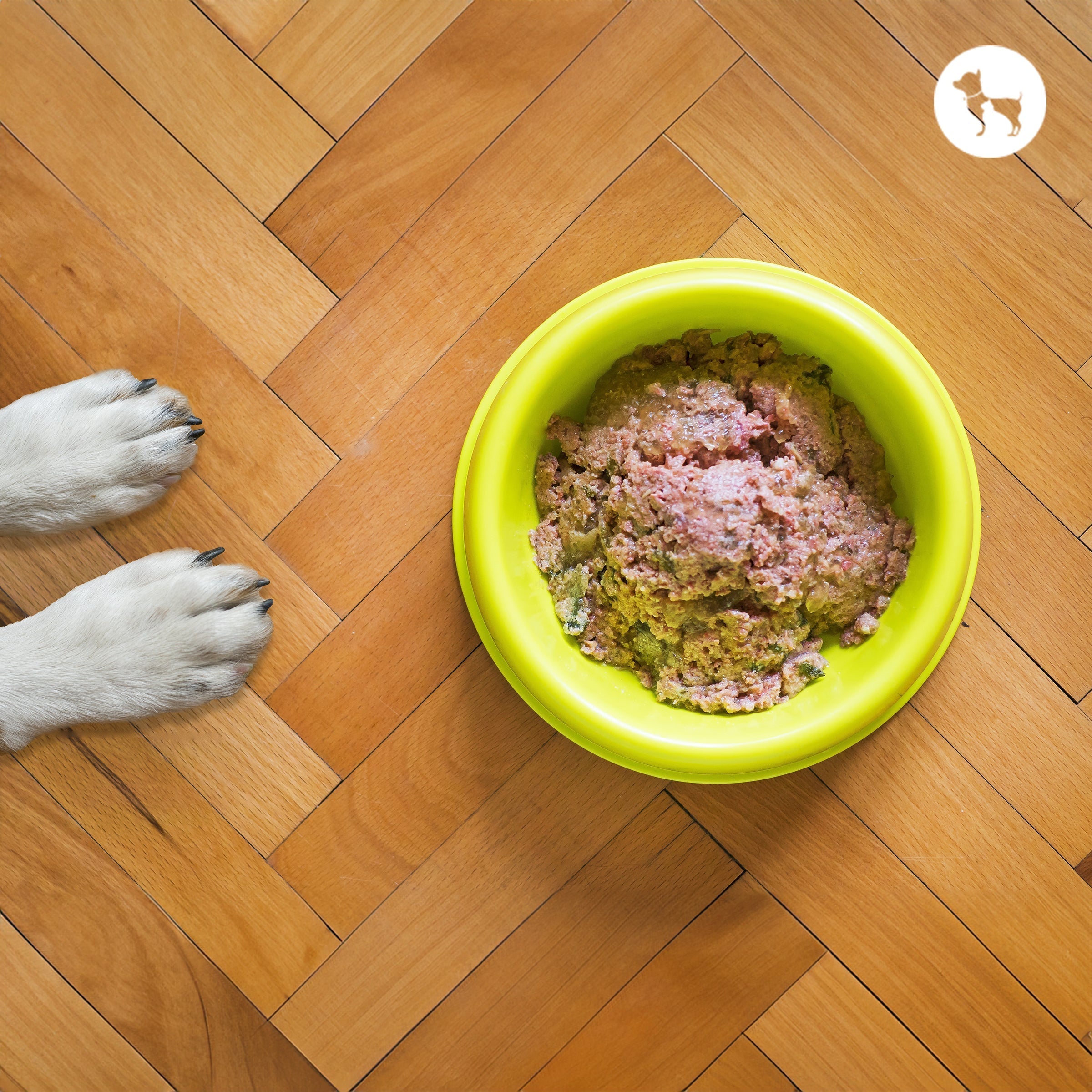 Best Wet Dog Food for Allergies & Sensitive Stomachs Best Wet Dog Food for Allergies & Sensitive Stomachs