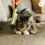 Brushes for Long-Haired Cats to Reduce Shedding at Home